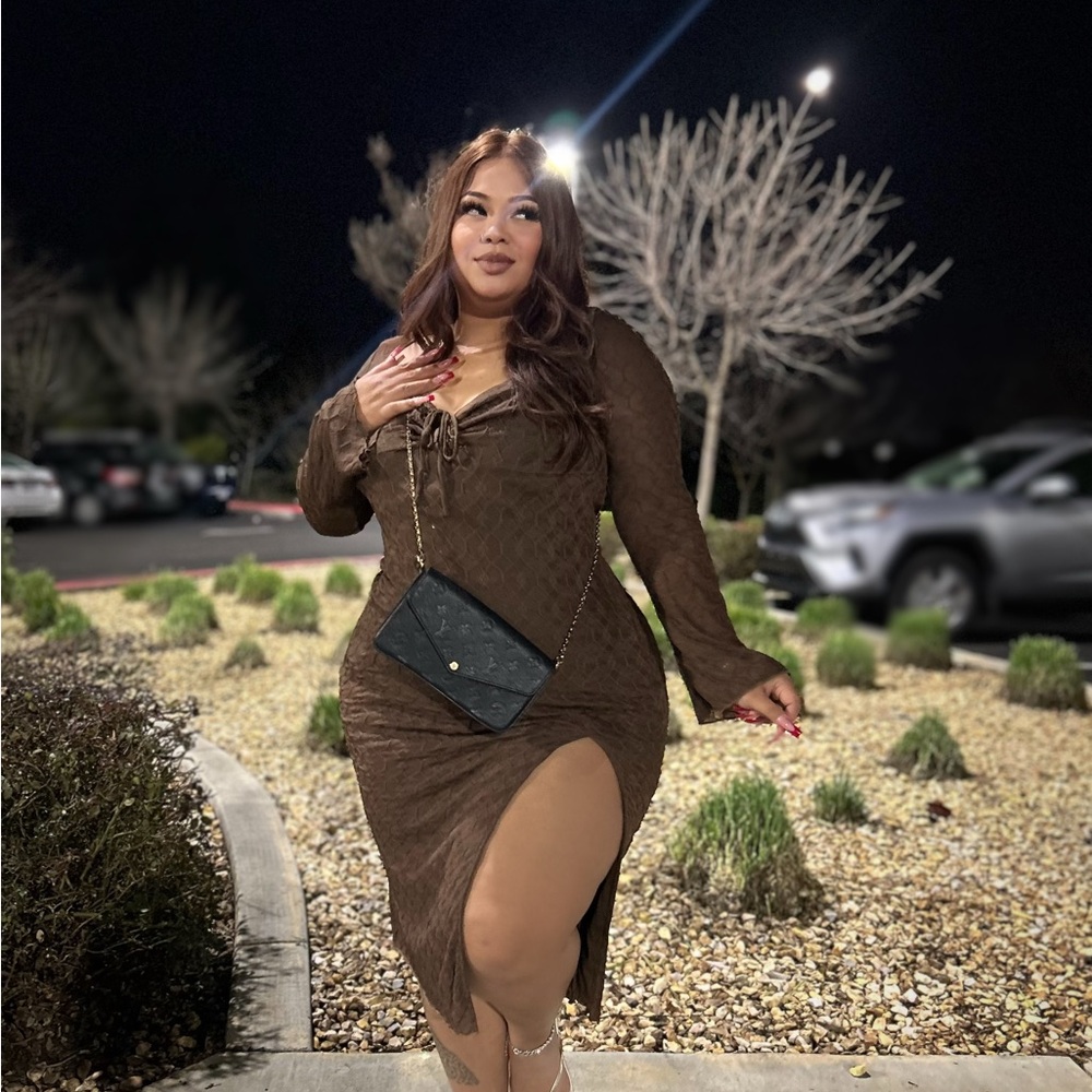 Chic Brown Long Sleeve Dress